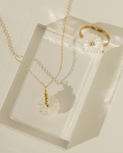 Load image into Gallery viewer, Belina Necklace: 14K Gold Filled