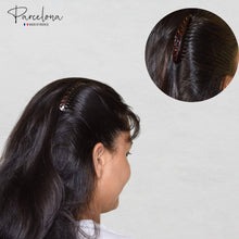 Load image into Gallery viewer, French Small Side Hair Combs(2 Pcs): Tortoise Shell