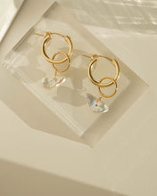 Load image into Gallery viewer, Rhode Earrings: 14K Gold Filled