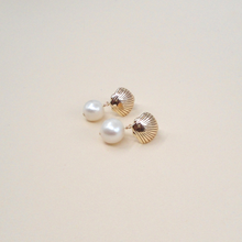 Load image into Gallery viewer, Cove Studs