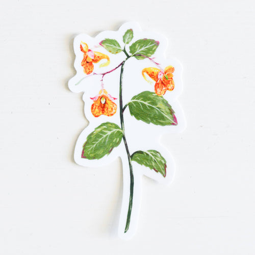 Spotted Jewelweed Sticker