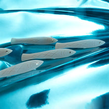 Load image into Gallery viewer, Sardine Hair Clip Set