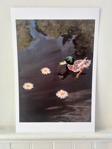 The Hebden Mallard Prints