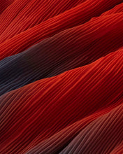 Load image into Gallery viewer, Pleated Pauline Skirt - Red Flowers