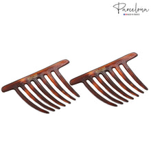 Load image into Gallery viewer, French Twist Side Hair Combs (2 Pcs): Tortoise Shell