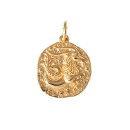 Zodiac Charm - Capricorn