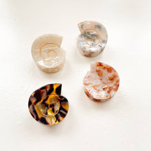 Load image into Gallery viewer, Round Swirly Seashell Claw Clip: Assorted