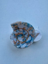 Load image into Gallery viewer, Round Swirly Seashell Claw Clip: Assorted