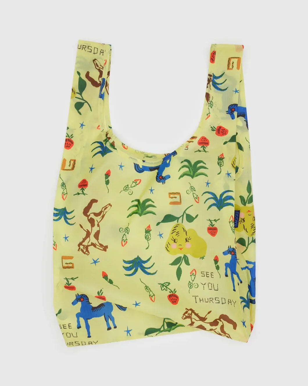Standard Baggu - Painted Prairie
