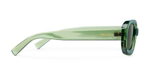 Dashi - All Olive