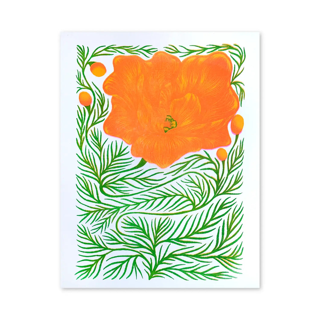 Sunbloom Poppy Print