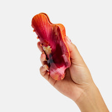 Load image into Gallery viewer, Nimbus Claw in Hibiscus