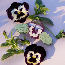 Load image into Gallery viewer, Wild Pansy Mini Claw