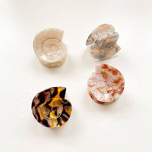 Load image into Gallery viewer, Round Swirly Seashell Claw Clip: Assorted