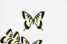Load image into Gallery viewer, Yellow Swallowtail Butterfly Sticker