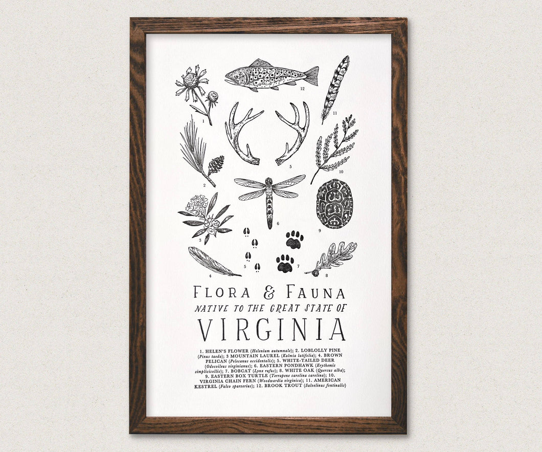Virginia Field Guide
