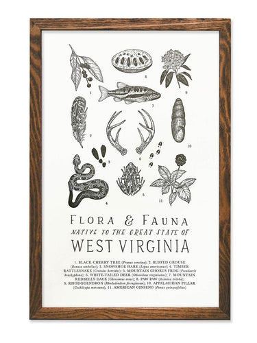 West Virginia Field Guide